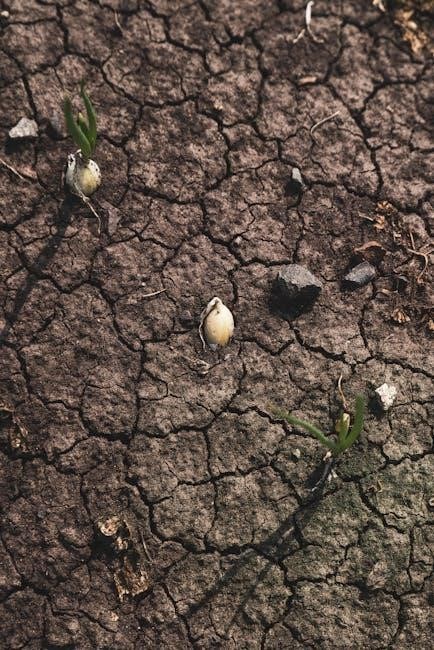 dixondale farms onion planting guide