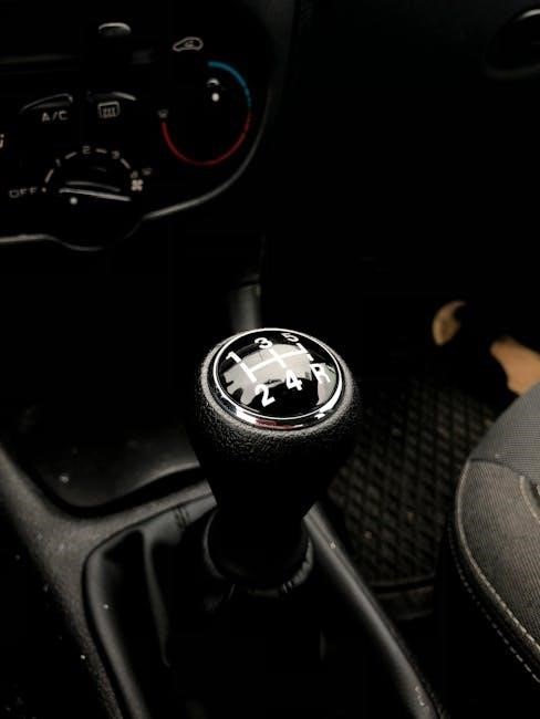 nuna rava car seat manual