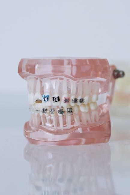 bc dental fee guide 2023