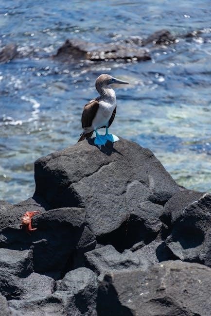 sula by toni morrison pdf