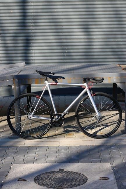 stationary bike manual